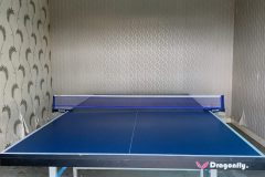 34_table_tennis_room_with_air-con-scaled