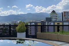 38_roof_top_with_small_pond-scaled