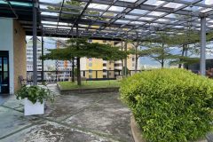 41_garden_roof_top-1-scaled